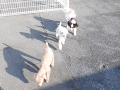 DSCF9979.JPG