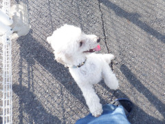 DSCF9982.JPG