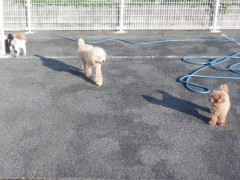 DSCF9960.JPG