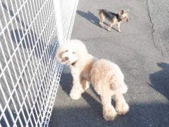 DSCF9975.JPG
