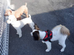 DSCF9970.JPG