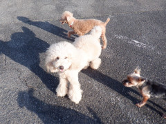 DSCF9964.JPG