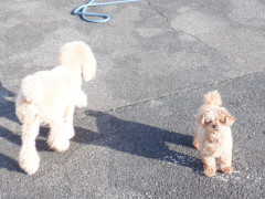 DSCF9966.JPG