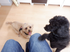 DSCF9988.JPG