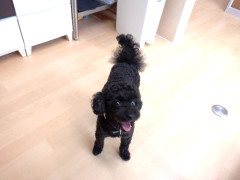 DSCF9995.JPG