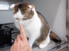 DSCF0024.JPG
