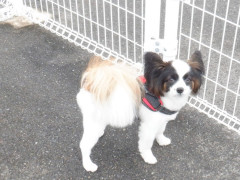 DSCF0022.JPG