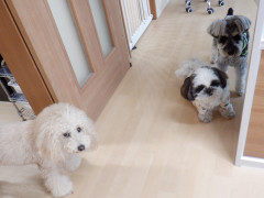 DSCF0016.JPG