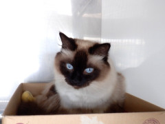 DSCF0087.JPG