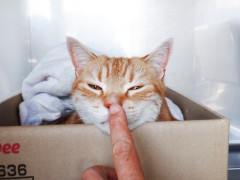 DSCF0111.JPG