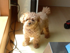 DSCF0109.JPG