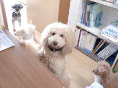 DSCF0105.JPG