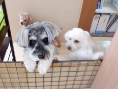 DSCF0106.JPG
