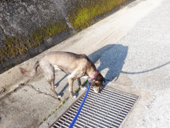 DSCF0115.JPG