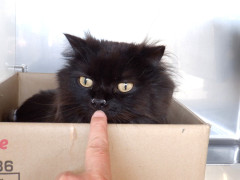 DSCF0127.JPG