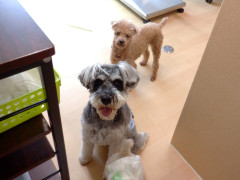 DSCF0139.JPG