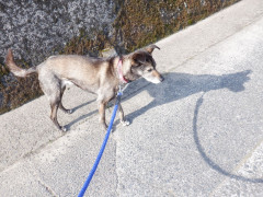 DSCF0147.JPG