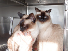 DSCF0157.JPG