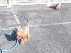 DSCF0200.JPG