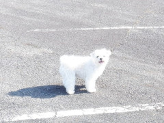 DSCF0192.JPG