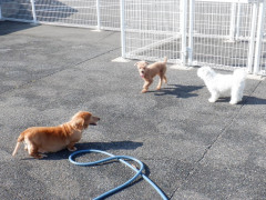 DSCF0185.JPG