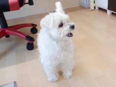 DSCF0221.JPG