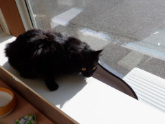 DSCF0228.JPG