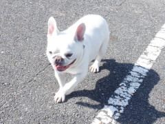 DSCF0299.JPG