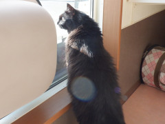 DSCF0281.JPG