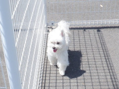 DSCF0315.JPG