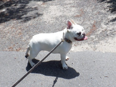 DSCF0311.JPG