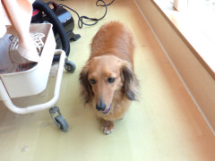 DSCF0442.JPG