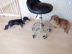 DSCF0451.JPG