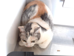 DSCF0495.JPG