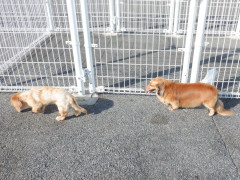 DSCF0490.JPG