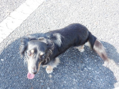 DSCF0482.JPG