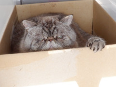 DSCF0506.JPG