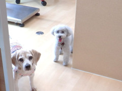 DSCF0521.JPG