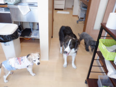 DSCF0567.JPG