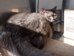 DSCF0530.JPG