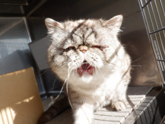 DSCF0529.JPG