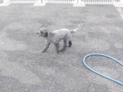 DSCF0575.JPG