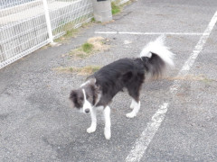 DSCF0572.JPG