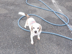 DSCF0574.JPG
