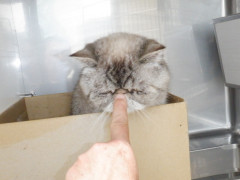 DSCF0647.JPG
