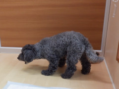 DSCF0640.JPG