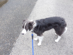 DSCF0634.JPG