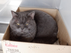 DSCF0659.JPG