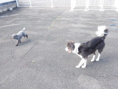DSCF0657.JPG