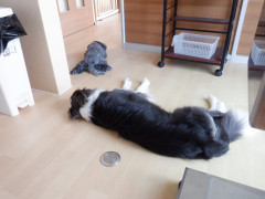 DSCF0666.JPG